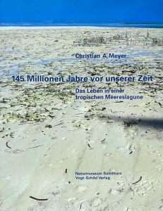 145 Millionen Jahr vor unserer Zeit